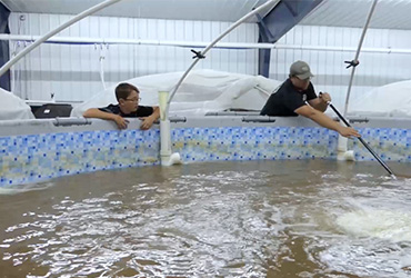 The production process in the production of shrimp feed