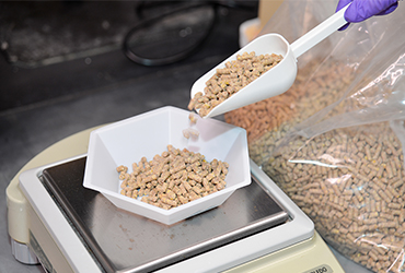 The main factors affecting the safety of feed products