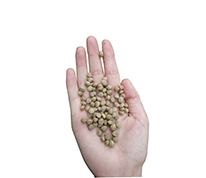 feed pellet